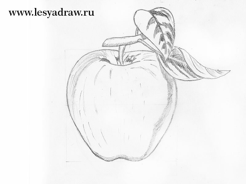 Рисунок натюрморт с кувшином и яблоком урок рисования 6 класс