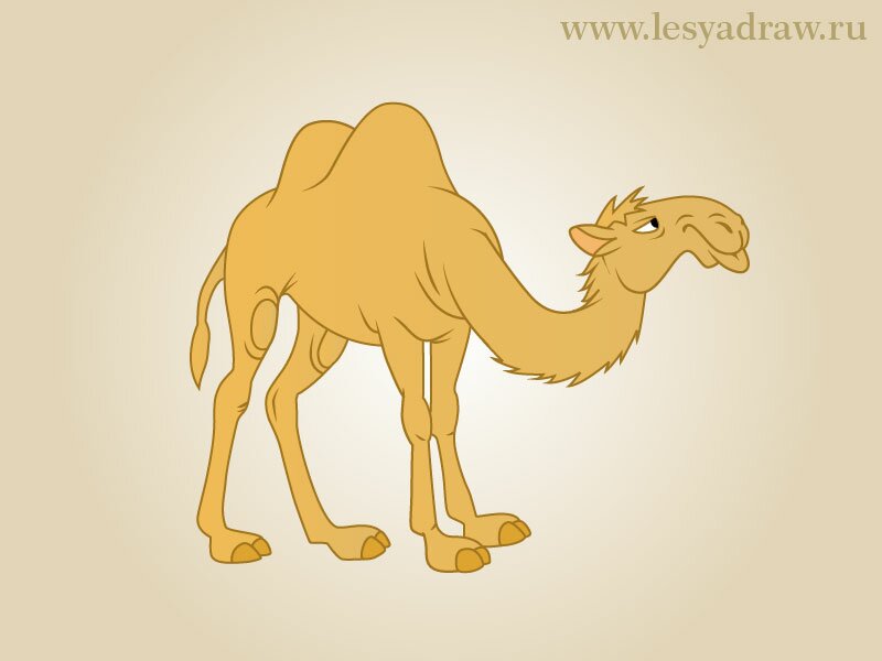 Как нарисовать верблюда карандашом поэтапно