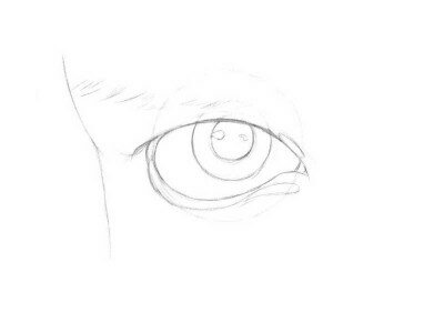 Как нарисовать глаз карандашом поэтапно