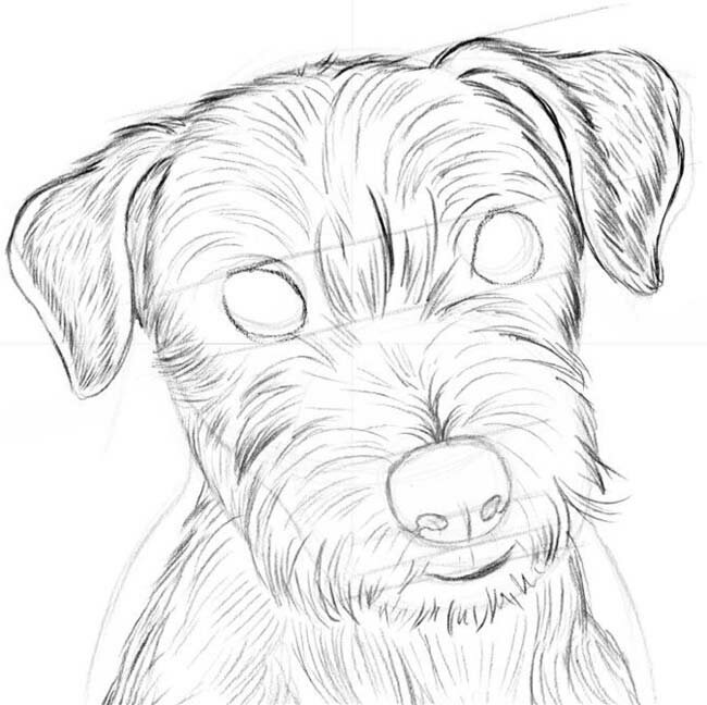 уроки рисования: Как нарисовать собаку