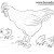 Как нарисовать курицу с цыплятами