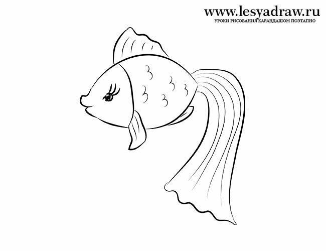 Desene ale unui pește în etape - cum să desenezi un pește în etape, trasând un pește cu un creion
