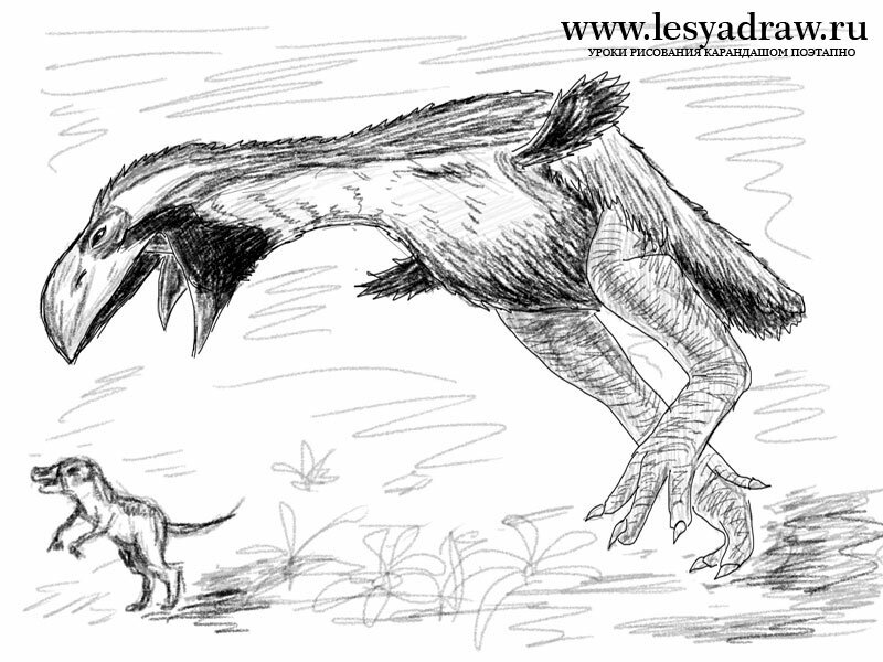 Как нарисовать гасторнис — хищную птицу