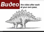 Как нарисовать стегозавра — травоядный динозавр