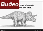 Как нарисовать трицератопса — растительноядный динозавр