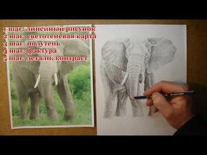 Видео-уроки рисования для взрослых