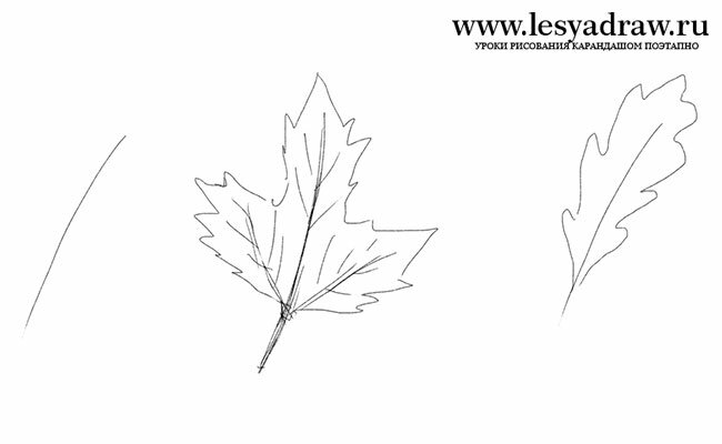 Как нарисовать осенние листья поэтапно