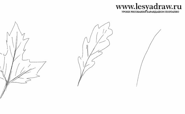 Как нарисовать осенние листья карандашом