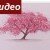 Как нарисовать дерево сакуру поэтапно