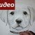 Видео рисования мордочки собаки