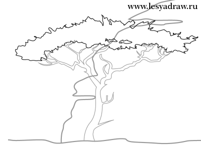 Как нарисовать африканский пейзаж, африканский закат, как нарисовать дерево