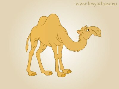 Как нарисовать верблюда карандашом поэтапно