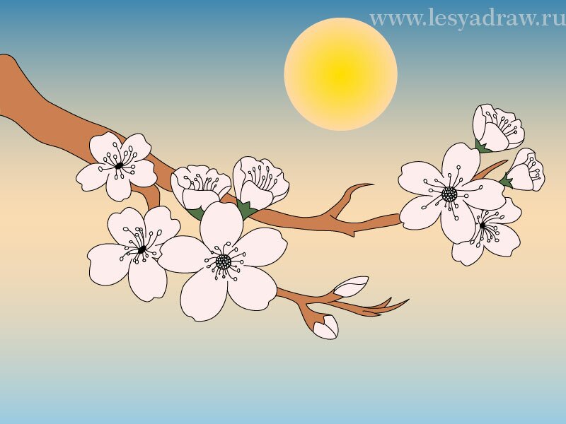 Как нарисовать сакуру, как нарисовать цветы вишни