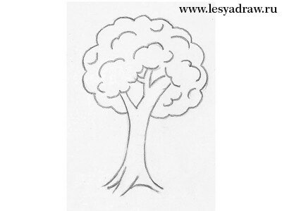 Как нарисовать дерево для детей
