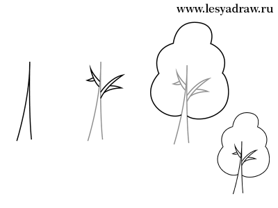 Как нарисовать дерево ребенку