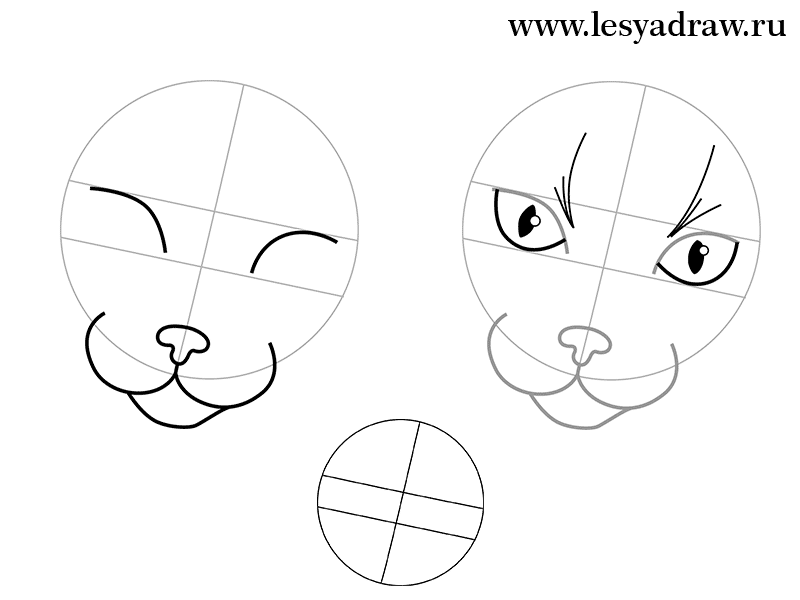 Как нарисовать кошку карандашом поэтапно для начинающих