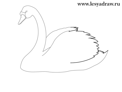 Как нарисовать лебедя карандашом поэтапно