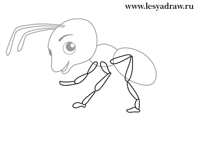 Как нарисовать муравья карандашом поэтапно