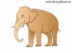 Как нарисовать индийского слона