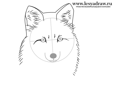 Как нарисовать голову лисы карандашом поэтапно