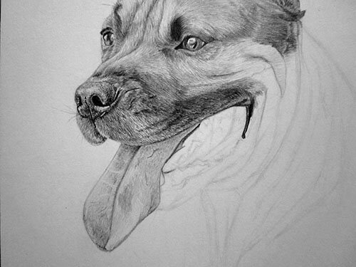 Как нарисовать язык у собаки 