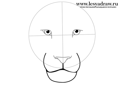 Как нарисовать морду львицы
