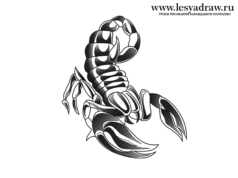 Как нарисовать скорпиона в стиле тату