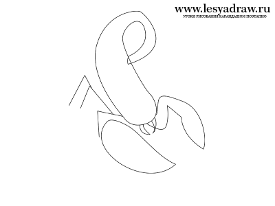 Как нарисовать скорпиона 