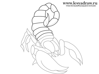 Как нарисовать скорпиона карандашом