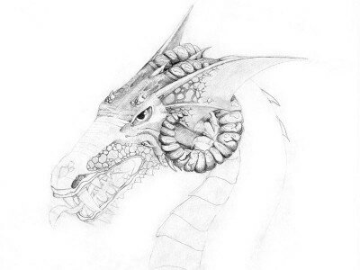 Как нарисовать голову дракона поэтапно