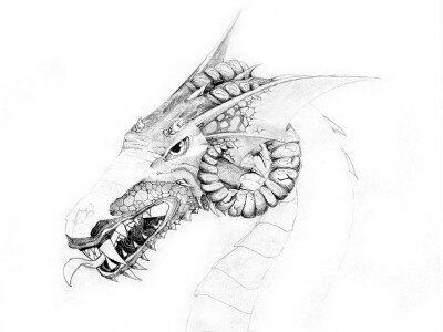 Как нарисовать голову дракона карандашом