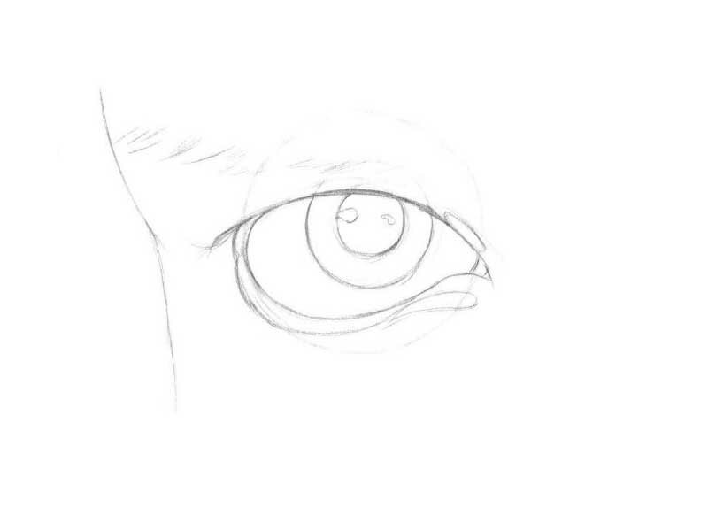 Как нарисовать глаз карандашом поэтапно