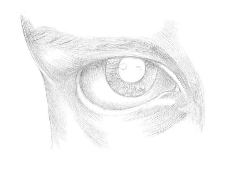 Как рисовать глаз карандашом