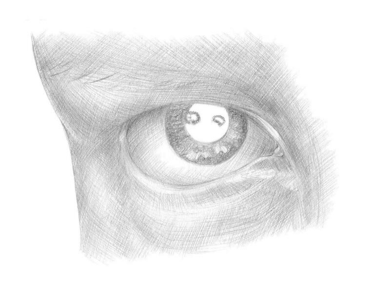 Как рисовать глаз поэтапно