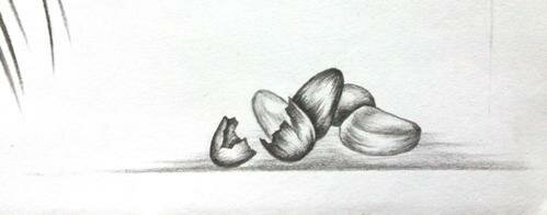 Рисуем кедровые орешки