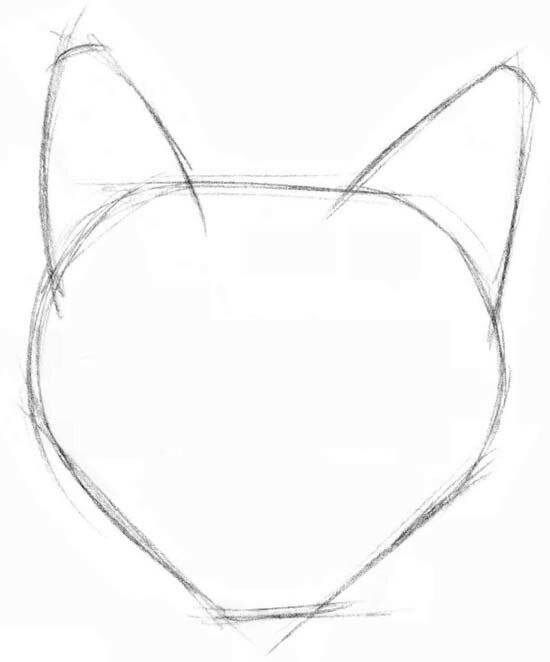 Основы рисования морды кота