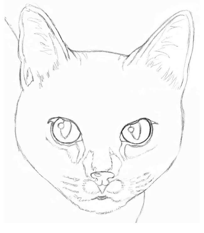 Рисуем кота