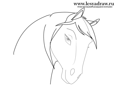 Как нарисовать красивую лошадь
