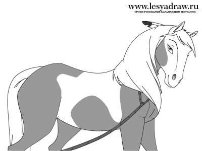 Как нарисовать красивую лошадь карандашом поэтапно