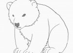 Как нарисовать медвежонка карандашом поэтапно