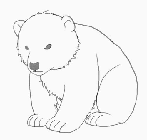 Как нарисовать медвежонка карандашом поэтапно