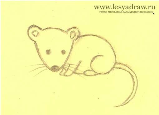 Как нарисовать мышь для детей