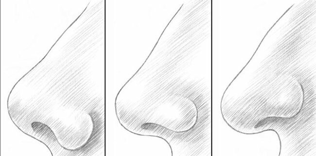 Как нарисовать нос вид сбоку