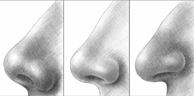Как нарисовать нос человека карандашом поэтапно