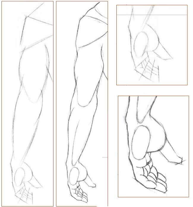 Как нарисовать мужскую руку