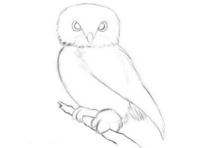 Как рисовать сову