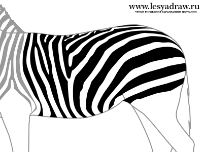 Как рисовать полоски на зебре