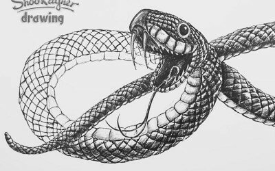 Рисуем змею поэтапно