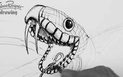 Как нарисовать ручкой змею
