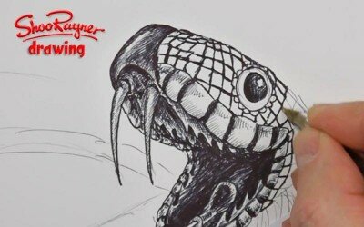 Как нарисовать голову змеи
